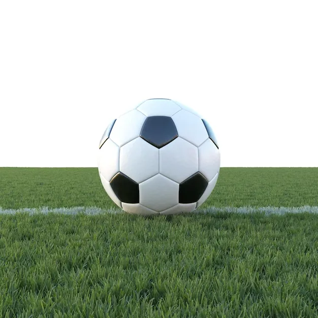 WCBA直播体育 体育赛事背景